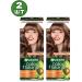 Garnier 6.25 Color Naturals hair dye persistent 2 pcs