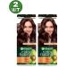 Garnier 3.23 Color Naturals hair dye persistent 2 pcs