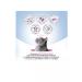 Best dinner Urinary food for cats treatment of ICD veal 85g x 24pcs - Buy Online on GoSupps.com