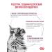 ROYAL CANIN Dry food for cats in renal disease Renal 350 g - Buy Online on GoSupps.com