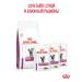 ROYAL CANIN Dry food for cats in renal disease Renal 350 g - Buy Online on GoSupps.com