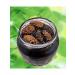 Sashel Jam-spirulin 100 g - Buy Online on GoSupps.com