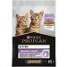 PRO PLAN Feed for kittens Wet turkey in sauce 85 g 10 pcs - Buy Online on GoSupps.com