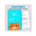 Fluffy happiness Veterinary passport International red cat