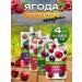 SAVA Ave. Assorted berries without sugar 4 pcs. 4*250 gr