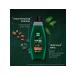 Clean line Shampoo with peppermint and caffeine 600ml - Buy Online on GoSupps.com