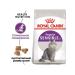 ROYAL CANIN Sensible cat food sensitive gastrointestinal tract poultry 4 kg - Buy Online on GoSupps.com
