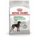 ROYAL CANIN Maxi digestive feed of large dogs with sensitive gastrointestinal tract 3kg - Buy Online on GoSupps.com