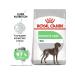 ROYAL CANIN Maxi digestive feed of large dogs with sensitive gastrointestinal tract 3kg - Buy Online on GoSupps.com