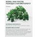 Isntree Caling enzyme powder with wormwood - Buy Online on GoSupps.com