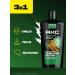 AKC Shower gel and shampoo 3v1 Power of male jungle 610ml 2pcs - Buy Online on GoSupps.com