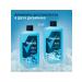 Rexona Male shower gel and shampoo 2B1 mountain ice 750ml 2pcs - Buy Online on GoSupps.com