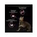 PRO PLAN Delicate digestion for cats 3 kg lamb - Buy Online on GoSupps.com