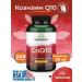 Swanson Coenzyme Q10 Q10 30 mg 240 capsules