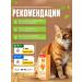 wikiVET Stopcistitis Drops for cats - Buy Online on GoSupps.com