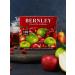 BERNLEY Tea in bags Garden fruits 100 pieces