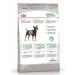 ROYAL CANIN Mini digestive food for dogs with problem -based digestion 3kg - Buy Online on GoSupps.com