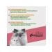 Farmavit Vitamins for pregnant and nursing cats 60 tablets - Buy Online on GoSupps.com