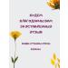 Evalar Atheroclefit bio 60 capsules - Buy Online on GoSupps.com