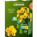 HERBS OF BASHKIRIA Tea of herbal laxative senna for intestines 2 pcs