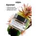 L'Oreal Professionnel Absolut Repair Molecular Concentrated Mask 250ml - Buy Online on GoSupps.com