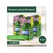 HERBS OF BASHKIRIA Tea evening sedative collection 3 pcs - Buy Online on GoSupps.com