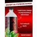 deneb Gold Kola Gold 1.25 Soguskaya Drink - Buy Online on GoSupps.com