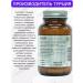 Glutation in capsules T rkiye - Buy Online on GoSupps.com