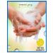 SAFEGUARD Soap antibacterial lemon 12 pieces 90 g - Buy Online on GoSupps.com