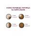 AWARD Small Adult dry food for dogs of small breeds 1.5 kg - Buy Online on GoSupps.com