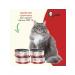 Yummy Linea Wet food for sterilized cats beef 12x100g - Buy Online on GoSupps.com