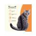 Yummy Linea Wet food for cats of all breeds turkey and vegetables 12x100g - Buy Online on GoSupps.com