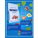 ALLNUTRITION Wheythly protein Whey Protein 908 gr - Buy Online on GoSupps.com