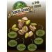 Thomas Green Pistachios raw nuts without salt 2 kg - Buy Online on GoSupps.com