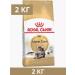 ROYAL CANIN Dry food Maine Coon Adult for cat cats Maine Kun 2kg