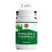 DR MYBO spirulina+chlorella n120 table 0.5g-2pcs