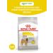 ROYAL CANIN Dry food dermacomfort for dog dogs 10 kg