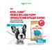 ROYAL CANIN Dry food for breed puppies French bulldog 10 kg