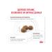 Royal Canin Veterinary Diet Gastrointestinal dry food for cats for gastrointestinal tract chicken 1.5kg - Buy Online on GoSupps.com
