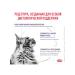 Royal Canin Veterinary Diet Dry food for castrated cats with excess weight 8 kg - Buy Online on GoSupps.com