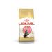ROYAL CANIN Dry feed Main Coon Kitten for kittens of Maine-kun rocks 4 kg - Buy Online on GoSupps.com