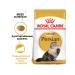 ROYAL CANIN Dry food Persian for Persian cats 2 kg - Buy Online on GoSupps.com