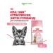 ROYAL CANIN Dry food Kitten Sterilized for sterilized kittens