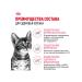 ROYAL CANIN Dry food Kitten Sterilized for sterilized kittens - Buy Online on GoSupps.com