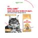 ROYAL CANIN Dry food Maine Coon for cat cats Maine-kun 2 kg