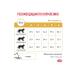 Royal Canin Veterinary Diet Dry food of Urinary S O for cats at MKB 7 kg - Buy Online on GoSupps.com