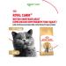ROYAL CANIN Dry food British Shorthair for British cats 4 kg