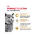 ROYAL CANIN Dry food British Shorthair for British cats 4 kg - Buy Online on GoSupps.com