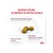 Royal Canin Veterinary Diet Dry feed Renal for cats with renal failure 4 kg - Buy Online on GoSupps.com