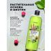 TRENDONIC Botanical shampoo with biotin set 2 liters - Buy Online on GoSupps.com